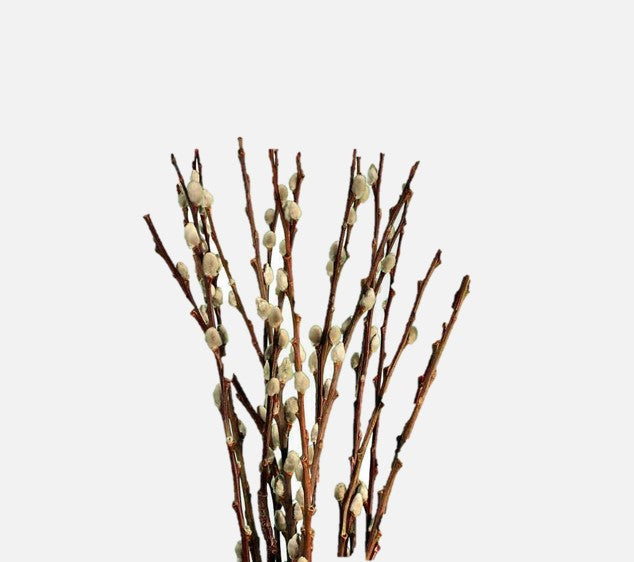 Berries and Branches
