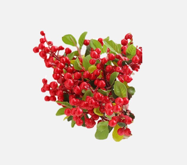 Berries and Branches